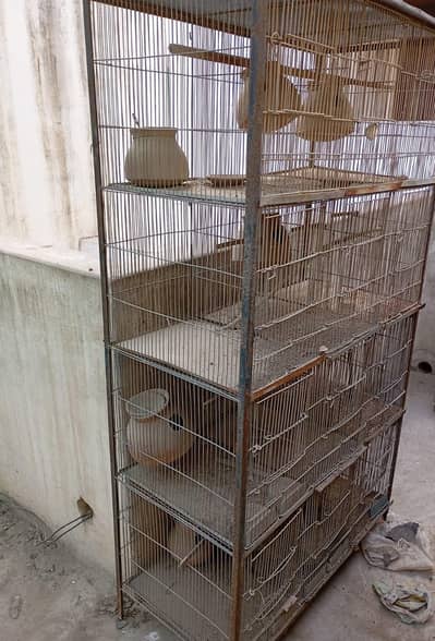 Bird Cage