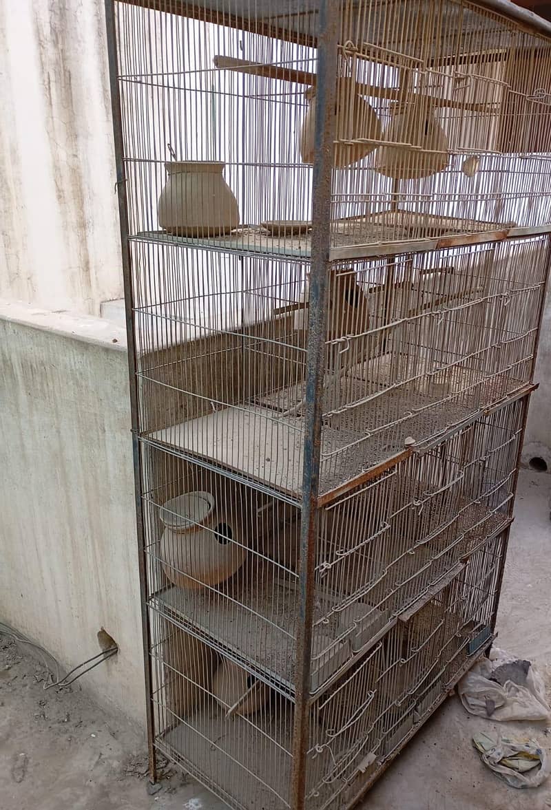 Bird Cage 0