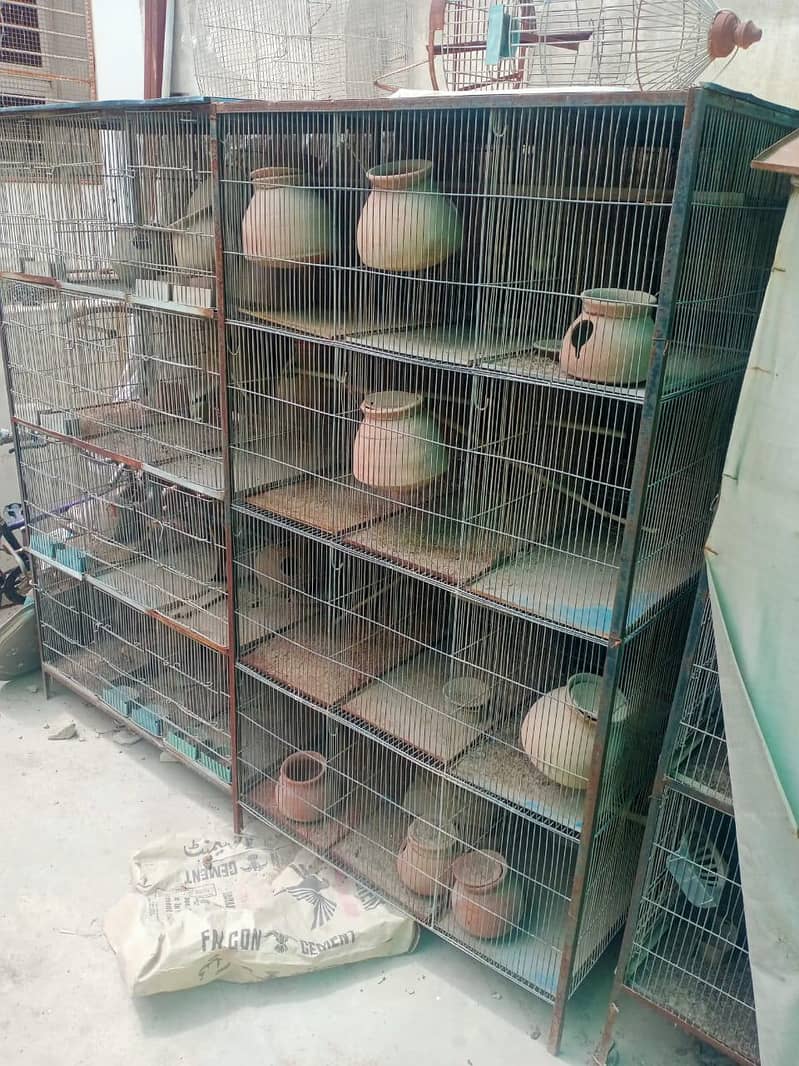 Bird Cage 1