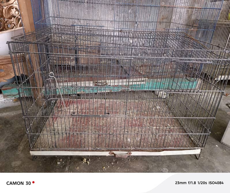 cages full setup 0