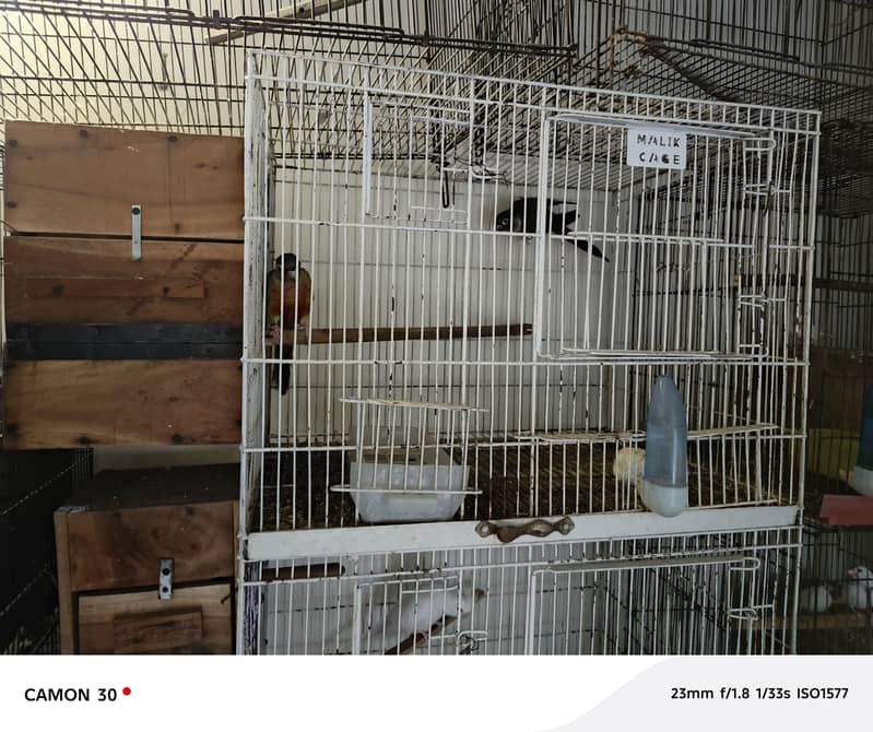 cages full setup 2