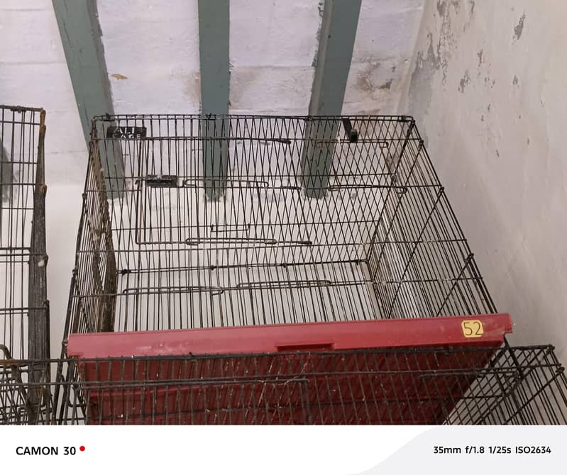 cages full setup 3