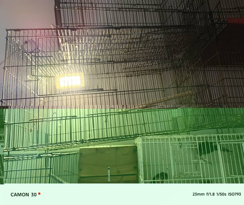 cages full setup 4