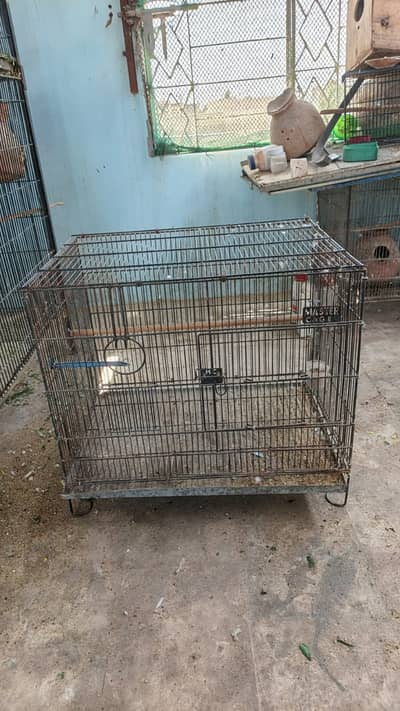 Single Bird Cage