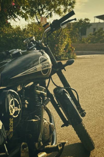 Custome Vintage Cruiser