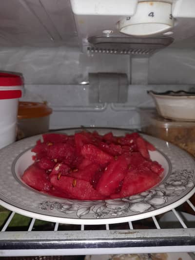 dawlance silver refrigerator