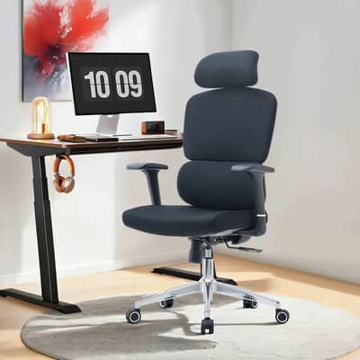 Premium Ergonomic Office Chair