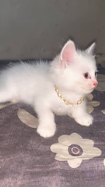 Argent sale