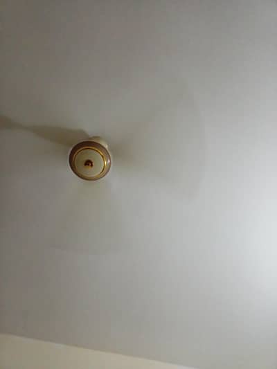 Hamy ghar Kai kaam kai leyay female chahiyay