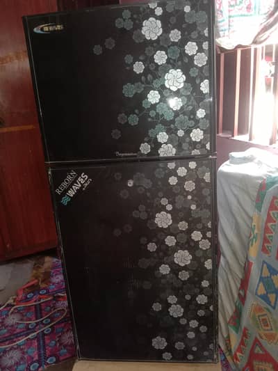 Almost New Refrigerator – Cooling Issue (Needs Gas/Service Check)