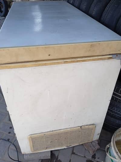 D freezer