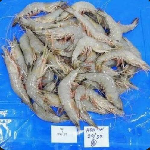 Prawns 0