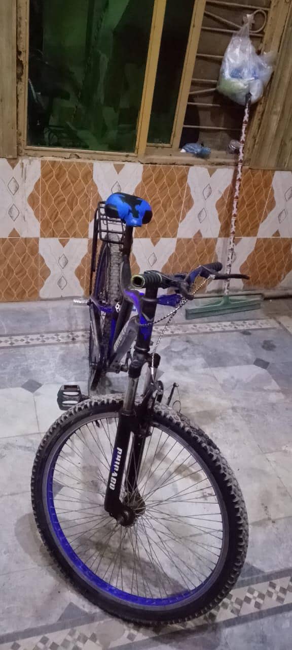 Bicycle 6