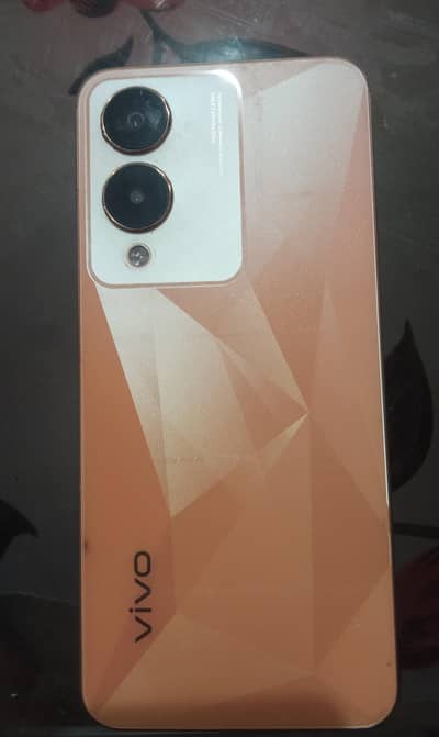 vivo y17s Good Condition