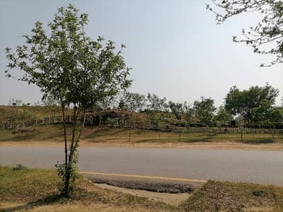 Gorgeous 1 Kanal Residential Plot For sale Available In D-13