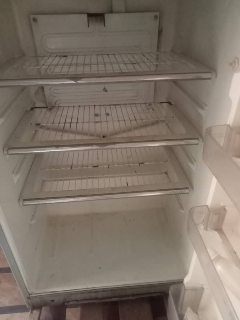 freezer 4