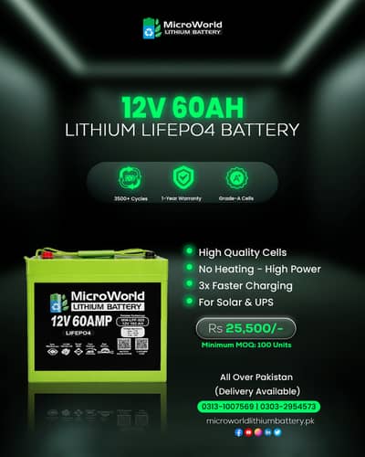 Lithium LiFePO4 Battery