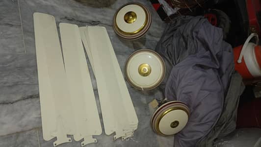 ceilng fans best conditions