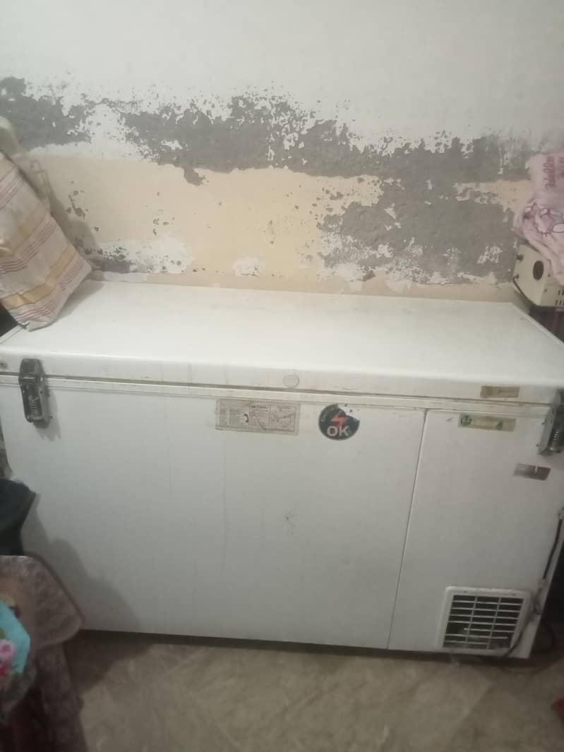 freezer 1