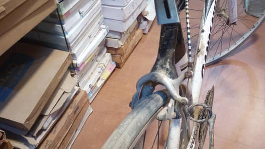 sport bicycle imported