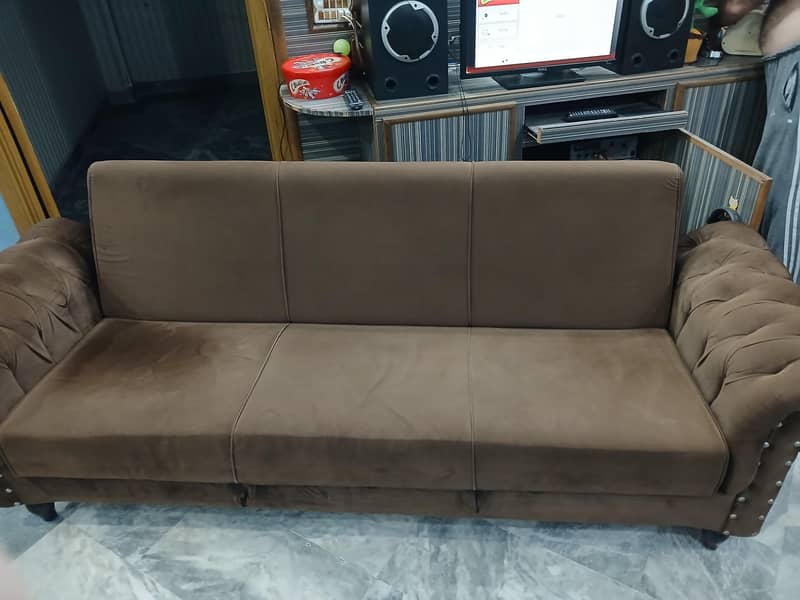 Two sofa cum beds 1