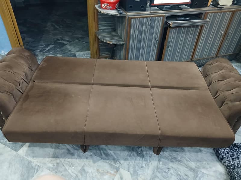 Two sofa cum beds 2