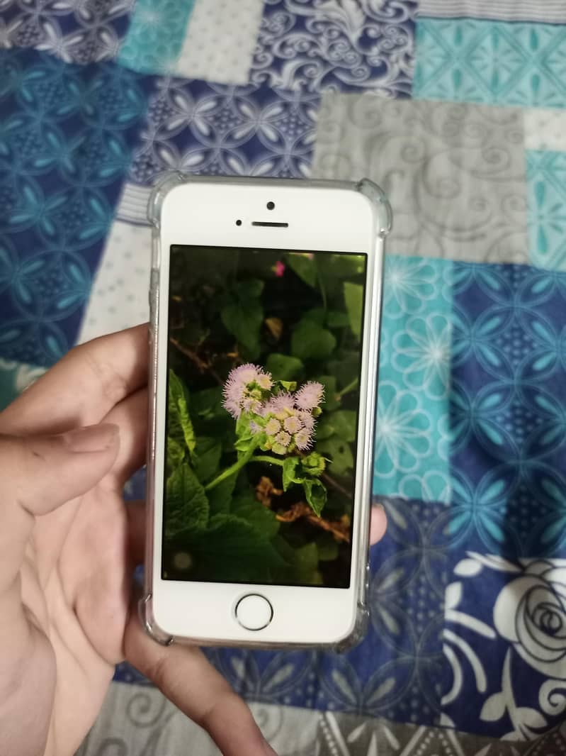 Iphone Se1 8