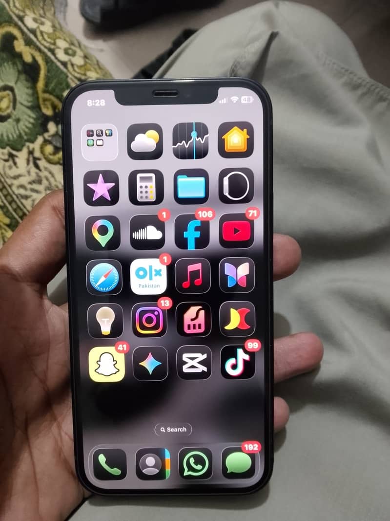 iPhone 12 4