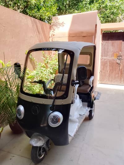 Crown Electric Auto Rickshaw