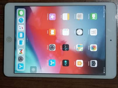 iPad mini 2