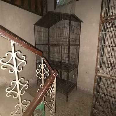 sale hen & parrot cages