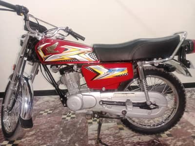24,25 model
