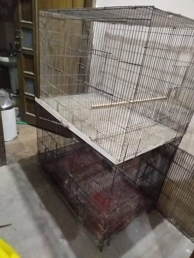 4 portions folding cage for sale best for sunconure, cocktail