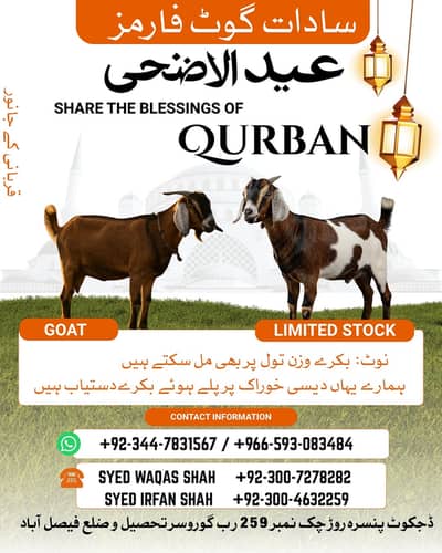 قربانی 2026 کیلیے بکرے دستیاب ہیں دیسی بلرے دیسی خوراک پر پلے ہوے اگر
