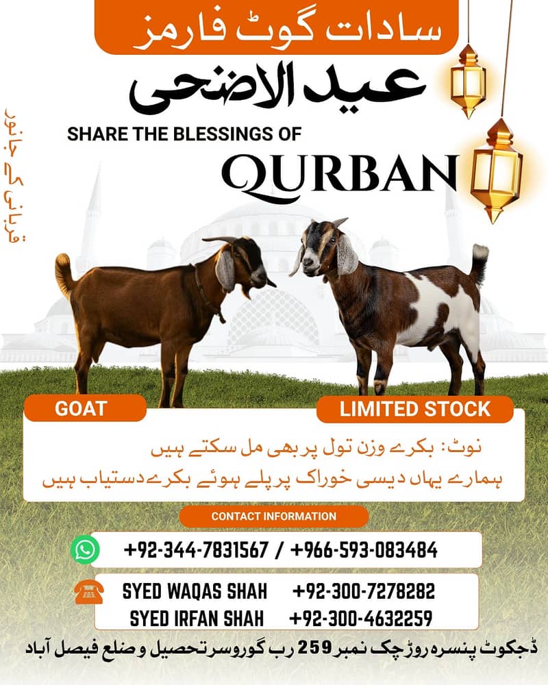 قربانی 2026 کیلیے بکرے دستیاب ہیں دیسی بلرے دیسی خوراک پر پلے ہوے اگر 0