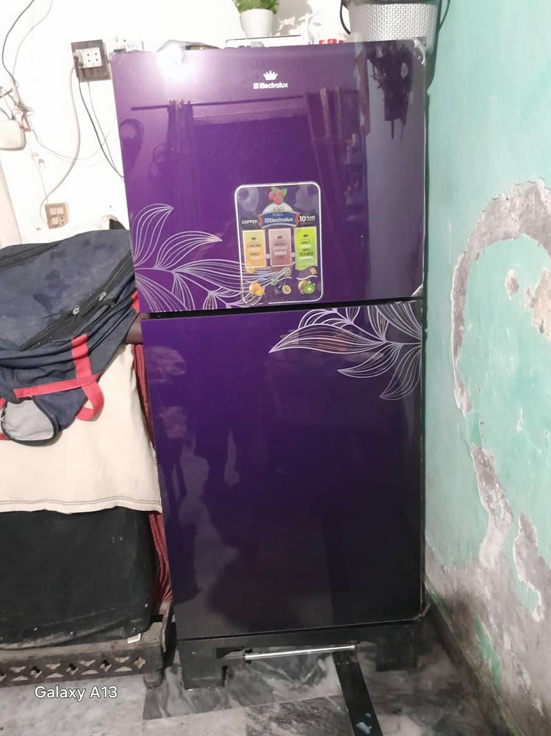 elctfriolux fridge 1