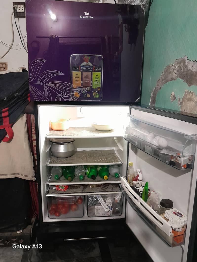 elctfriolux fridge 2