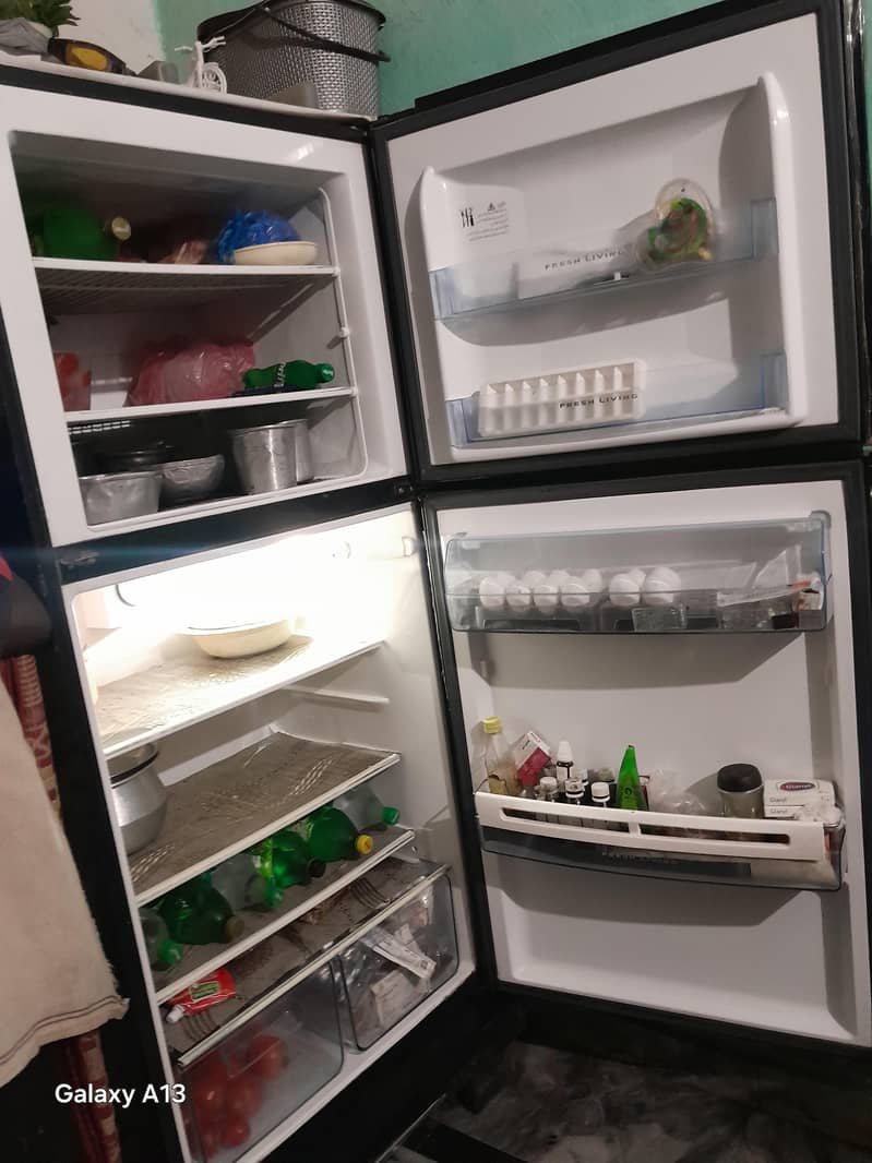 elctfriolux fridge 3