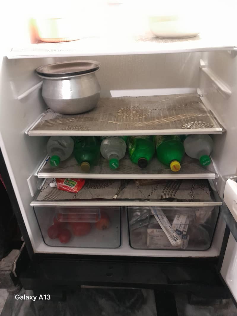 elctfriolux fridge 4
