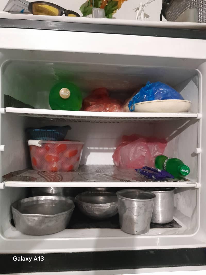 elctfriolux fridge 5