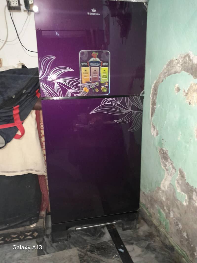 elctfriolux fridge 7