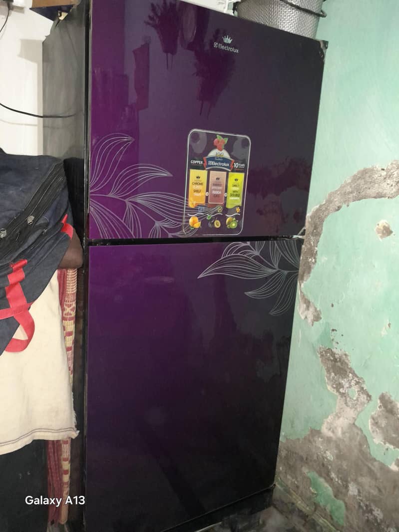 elctfriolux fridge 8
