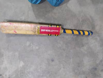 Cricket Bat