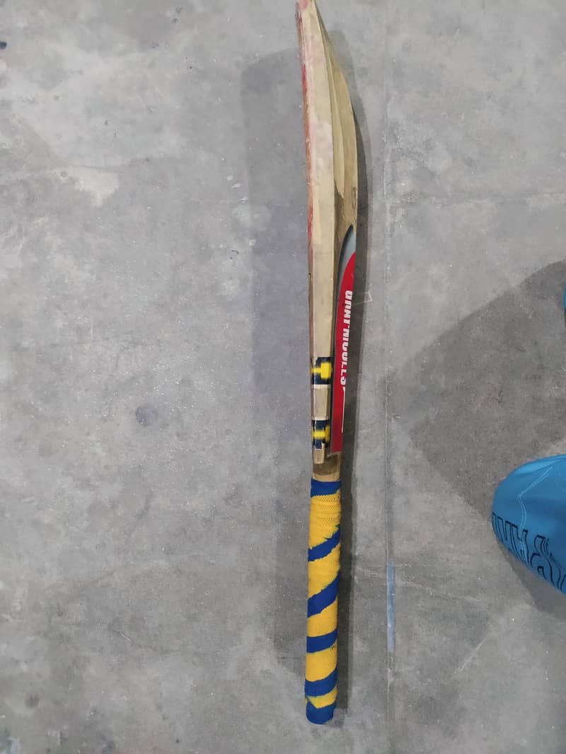 Cricket Bat 1