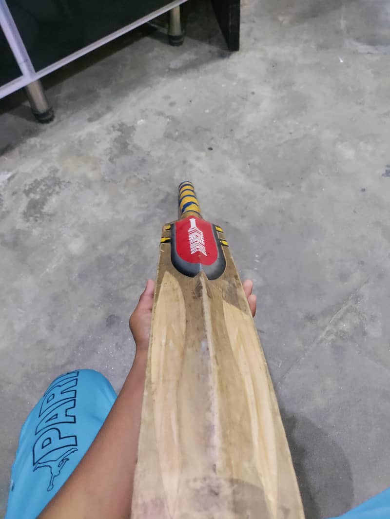 Cricket Bat 2