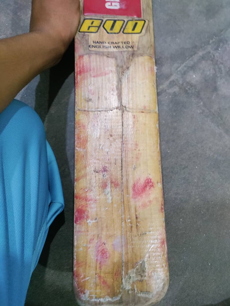 Cricket Bat 3