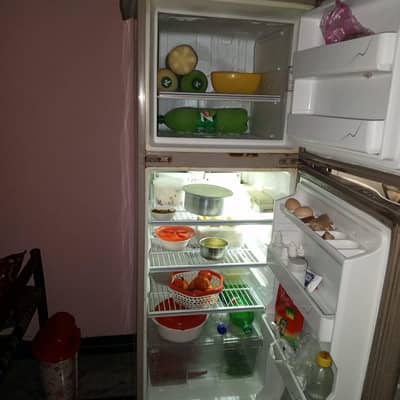frige