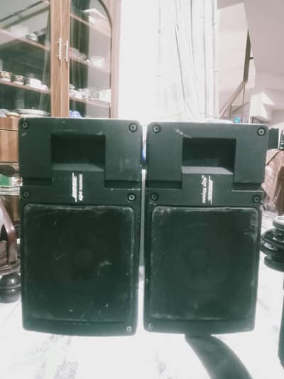 Bose Stereo speakers