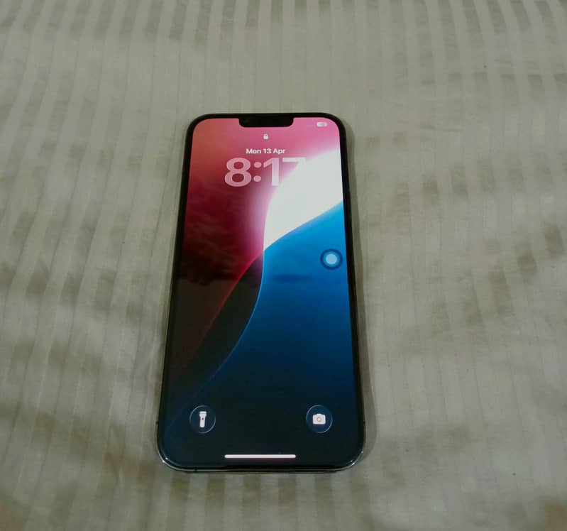 iPhone 13 Pro Max 0