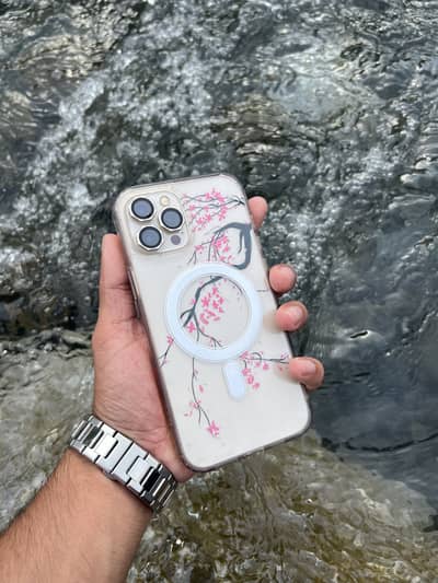iPhone 12 pro max